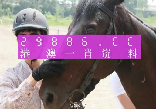 澳门最最准一肖一码全面释义、解释与落实